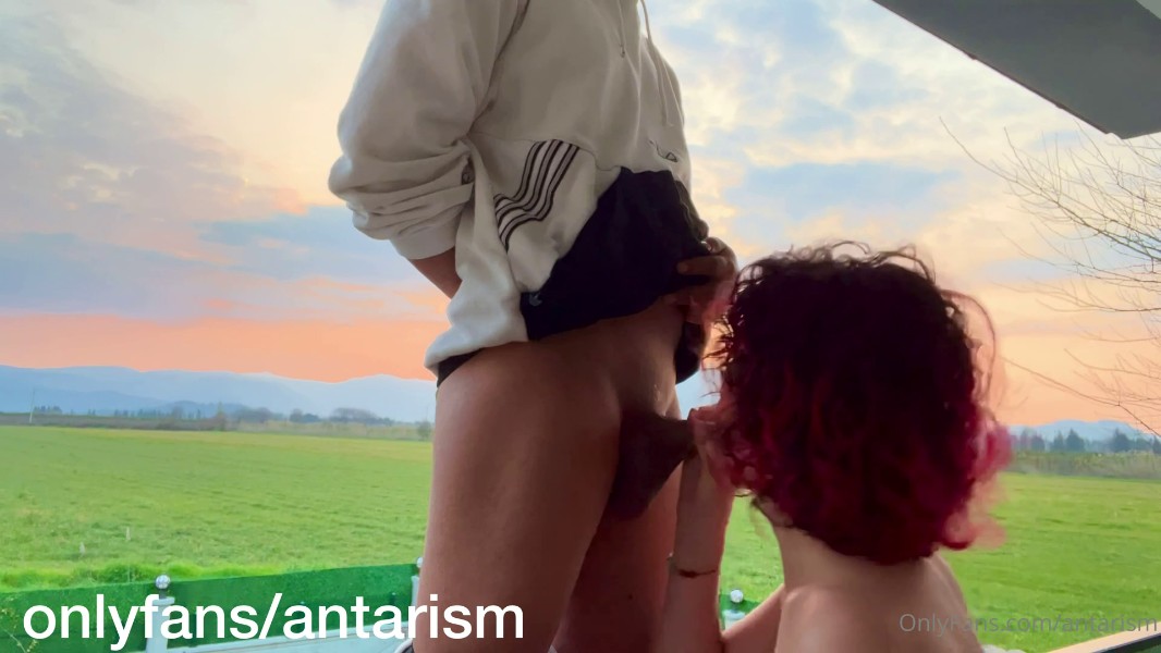 Antarism 154