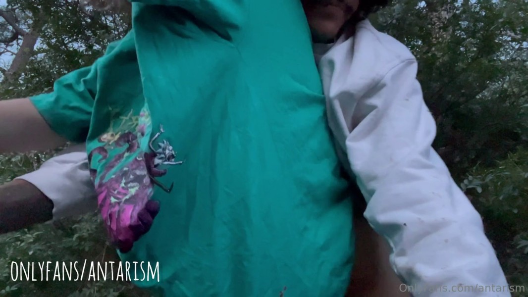 Antarism 176