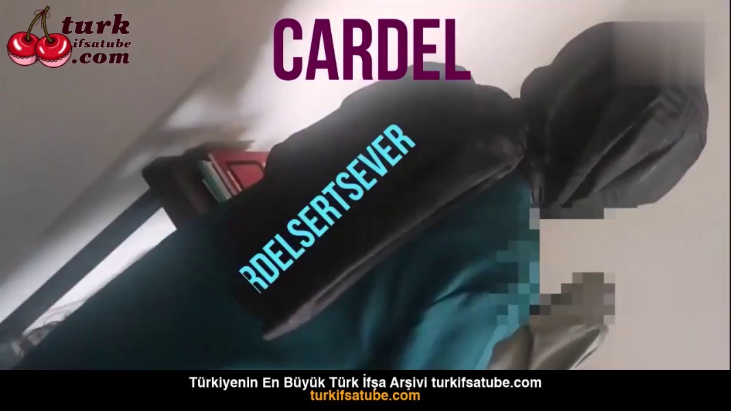 Cardel 23