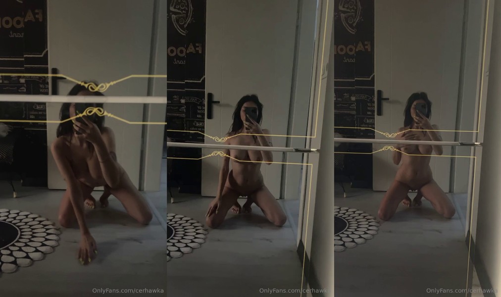 Cerhawk 38