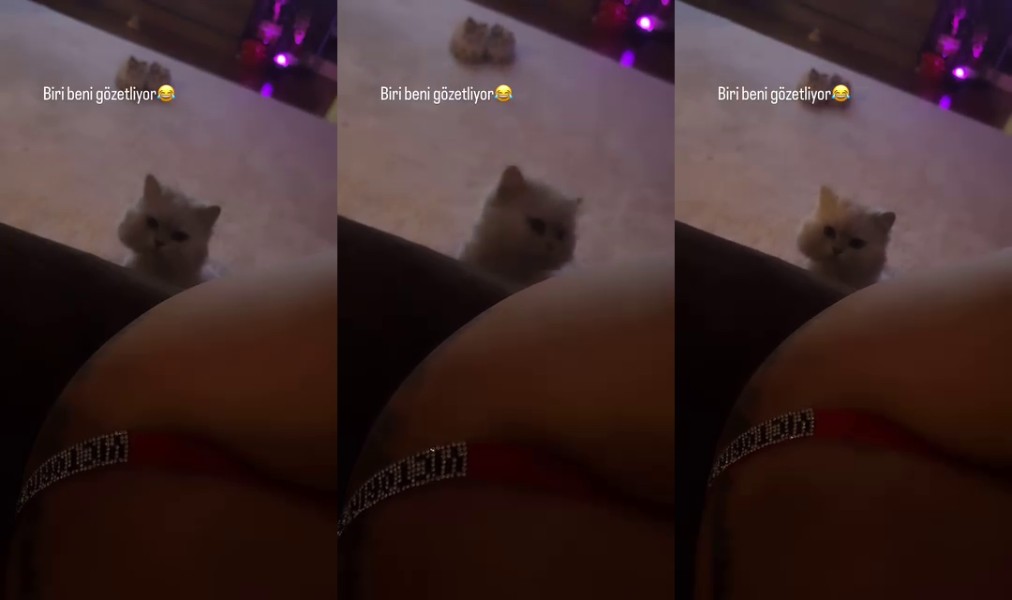 Damlagram 6